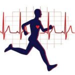 Interval cardio training session alternating between bursts and recovery