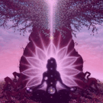 Group practicing pranayama and meditation in a quiet natural space