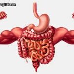 Person walking slowly or doing gentle yoga after eating for better digestion