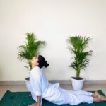 digestion yoga practice